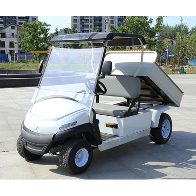 Sostenere il carrello di golf elettrico OEM con letto di cesto posteriore e 2 4 6 passeggeri e veicoli utilitari Buggy