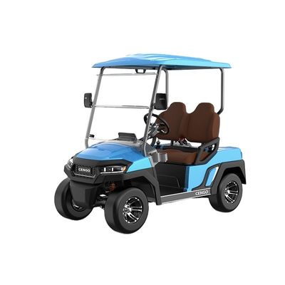 Un buon prezzo. Affordable 2 posti Electric Golf Buggy Perfetto per la famiglia e la caccia sulla spiaggia in linea