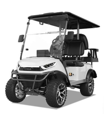 Un buon prezzo. Lancio del carrello elettrico da golf 2 2 posti a sedere Buggy con velocità 30-50Km/h e distanza minima 150-200mm in linea