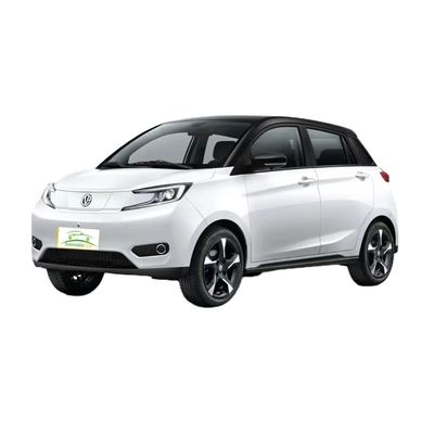 Un buon prezzo. Modello 2023 Pure Electric Car YOUNG 302km Range 0,5h Fast Charge 4 posti Peso a pieno carico 1080KG Potenza massima 35 100km/h in linea