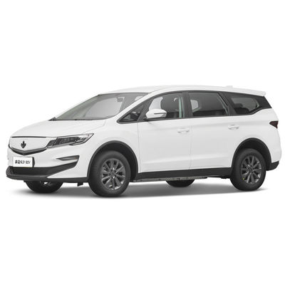 Un buon prezzo. 2023 Luxury 4 Seater Electric Car Lifan Maple Leaf 80v Adult Energy Vehicle 139L Volume del vano bagagli in linea
