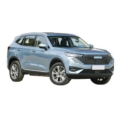 Un buon prezzo. 2024 GWM Haval H6 Car Shop Online Plug In Hybrid SUV 1.5T DHT PHEV Potenza massima del motore 240kW 110km Versione Veicolo energetico in linea