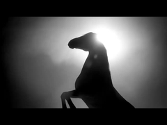 Veicolo della benzina