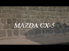 Veicolo della benzina