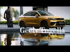 Automobili elettriche