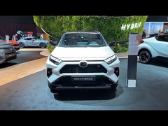 Veicolo della benzina