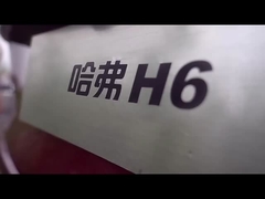 High Speed HAVAL H6 2023 SUV compatto La scelta definitiva per il mercato dei veicoli a combustibile